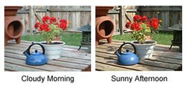 Photos of light in the morning and afternoon